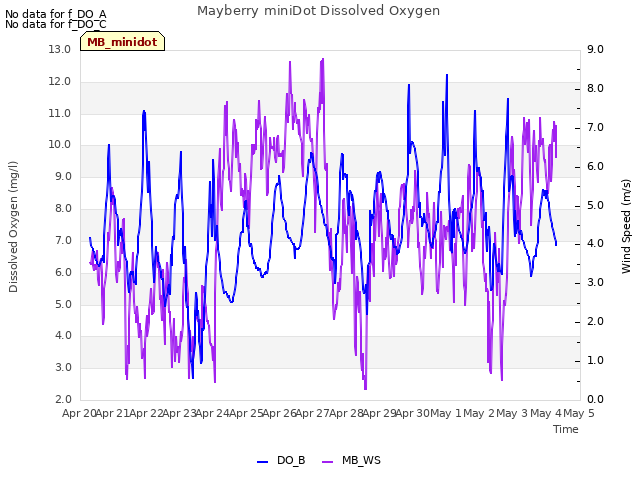 plot of Mayberry miniDot Dissolved Oxygen