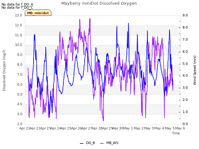 plot of Mayberry miniDot Dissolved Oxygen