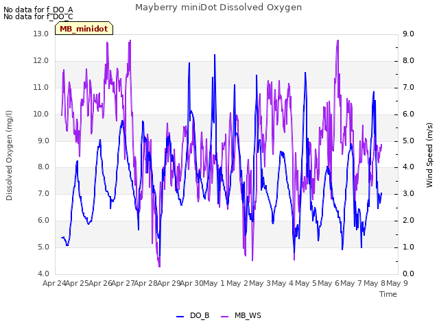 plot of Mayberry miniDot Dissolved Oxygen