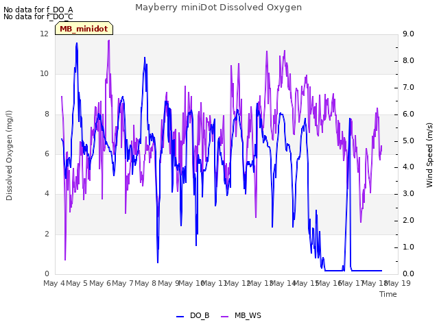 plot of Mayberry miniDot Dissolved Oxygen