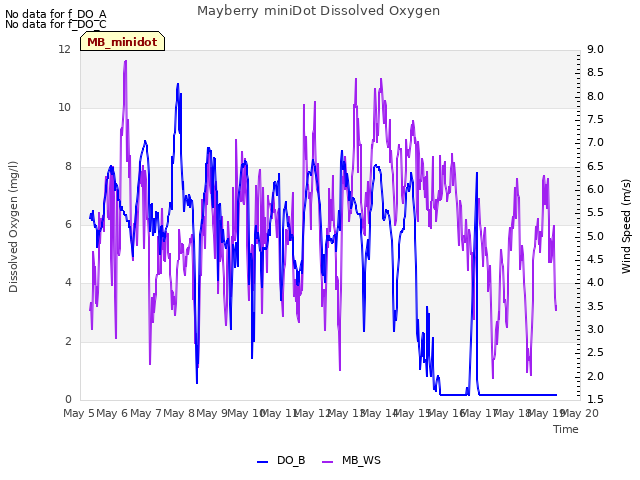 plot of Mayberry miniDot Dissolved Oxygen