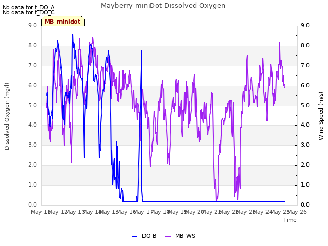 plot of Mayberry miniDot Dissolved Oxygen