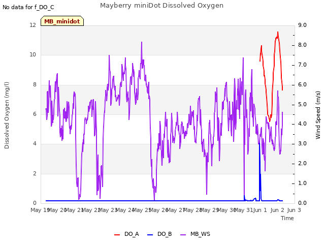 plot of Mayberry miniDot Dissolved Oxygen