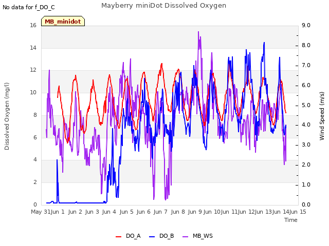 plot of Mayberry miniDot Dissolved Oxygen