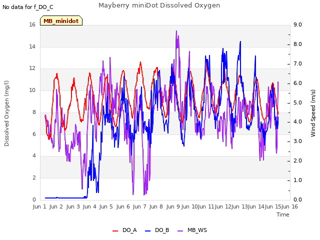 plot of Mayberry miniDot Dissolved Oxygen