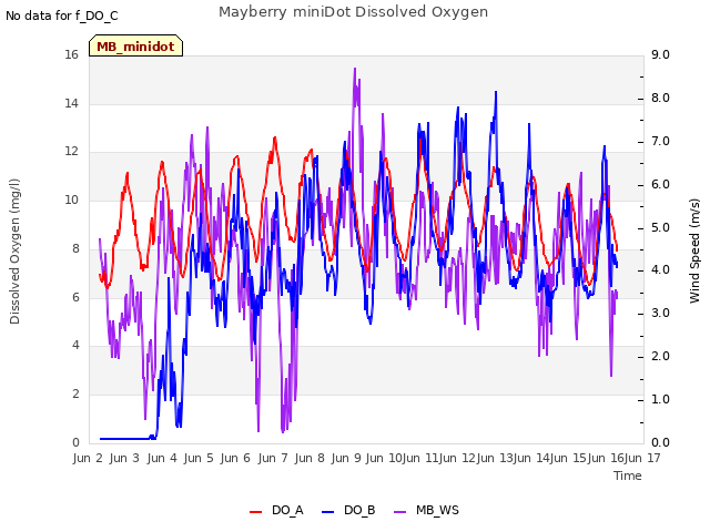 plot of Mayberry miniDot Dissolved Oxygen