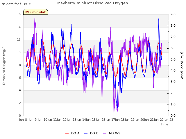 plot of Mayberry miniDot Dissolved Oxygen