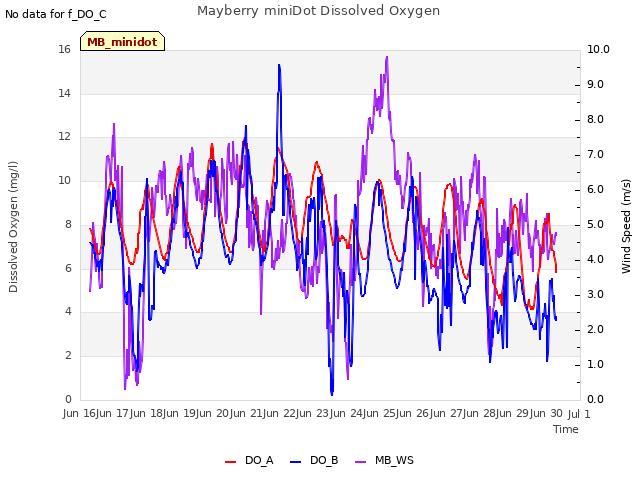 plot of Mayberry miniDot Dissolved Oxygen