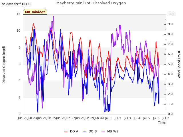 plot of Mayberry miniDot Dissolved Oxygen