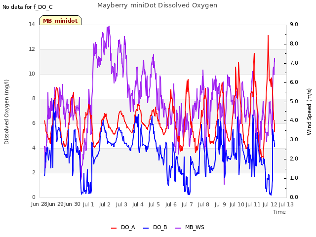 plot of Mayberry miniDot Dissolved Oxygen