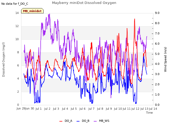 plot of Mayberry miniDot Dissolved Oxygen