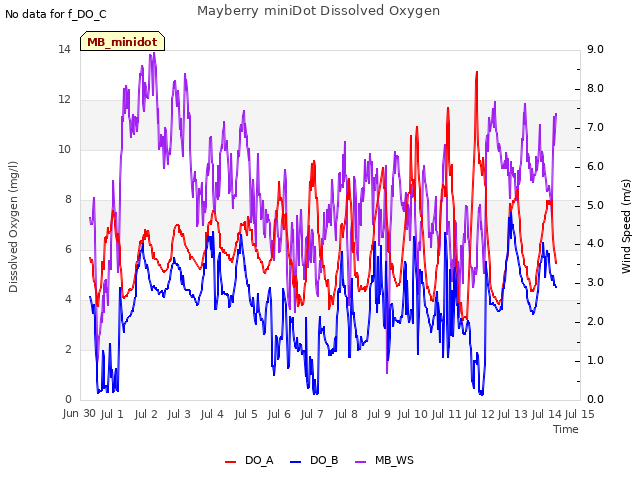 plot of Mayberry miniDot Dissolved Oxygen