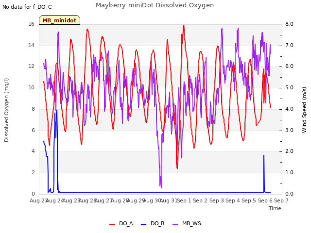 plot of Mayberry miniDot Dissolved Oxygen