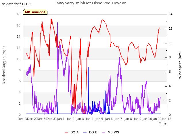 plot of Mayberry miniDot Dissolved Oxygen