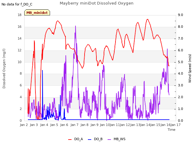 plot of Mayberry miniDot Dissolved Oxygen