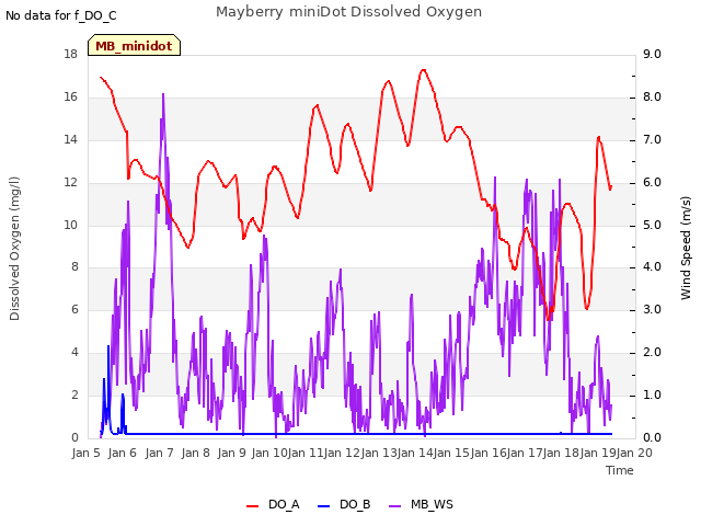 plot of Mayberry miniDot Dissolved Oxygen