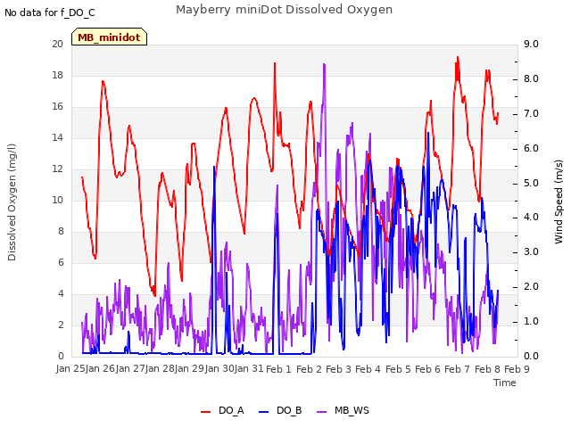 plot of Mayberry miniDot Dissolved Oxygen