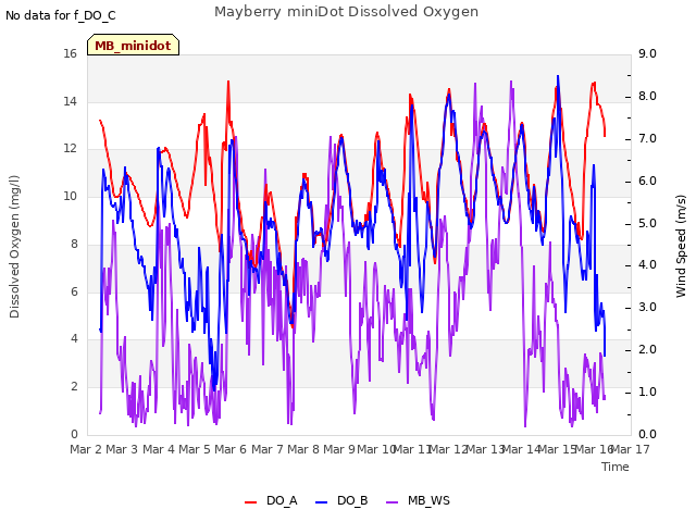 plot of Mayberry miniDot Dissolved Oxygen