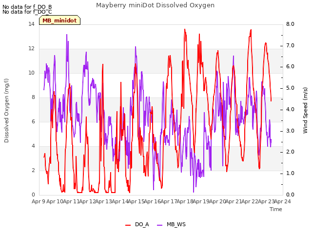 plot of Mayberry miniDot Dissolved Oxygen