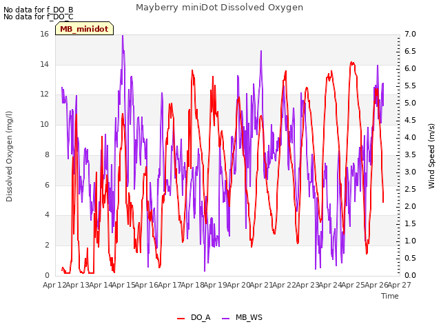 plot of Mayberry miniDot Dissolved Oxygen