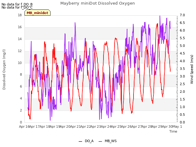 plot of Mayberry miniDot Dissolved Oxygen