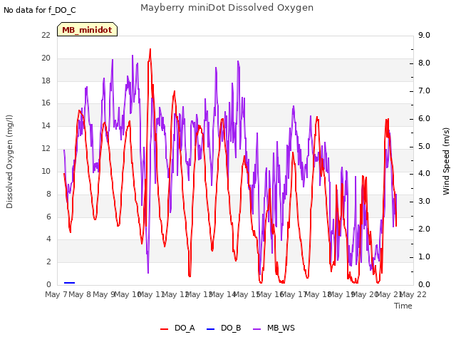 plot of Mayberry miniDot Dissolved Oxygen