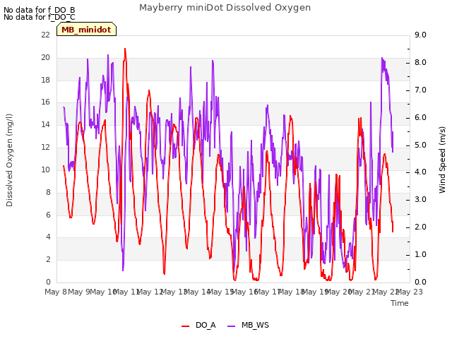 plot of Mayberry miniDot Dissolved Oxygen