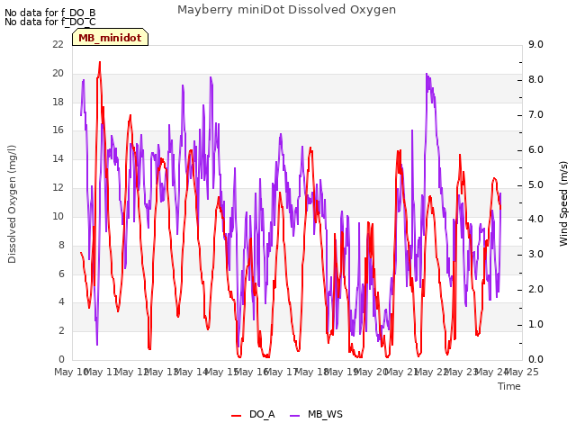 plot of Mayberry miniDot Dissolved Oxygen