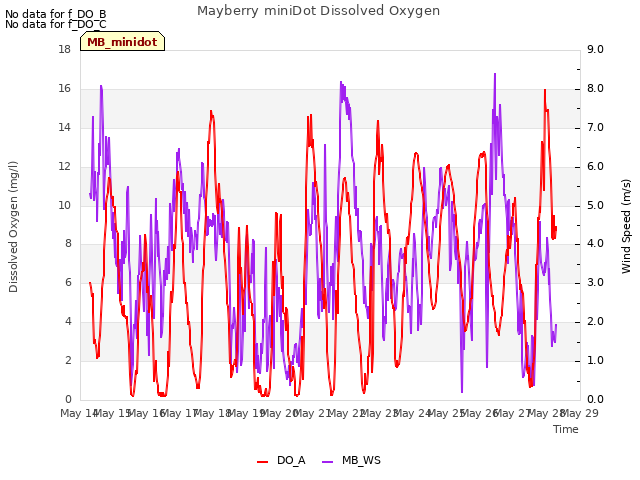 plot of Mayberry miniDot Dissolved Oxygen