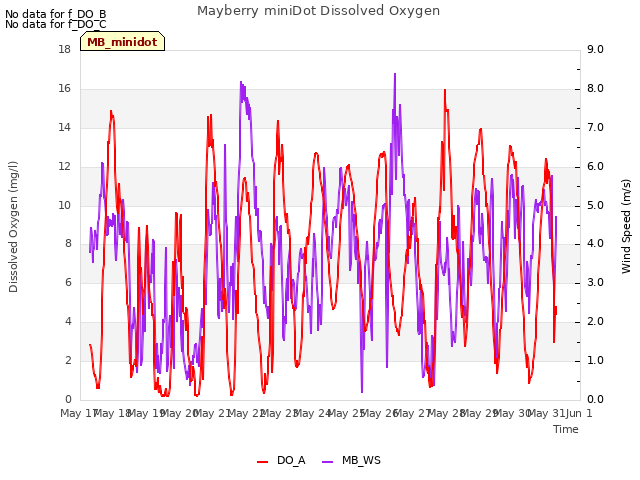 plot of Mayberry miniDot Dissolved Oxygen