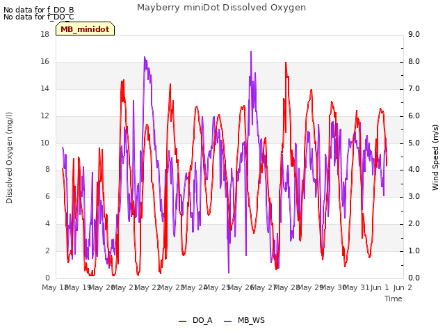 plot of Mayberry miniDot Dissolved Oxygen