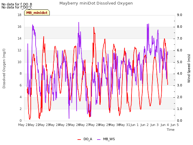 plot of Mayberry miniDot Dissolved Oxygen