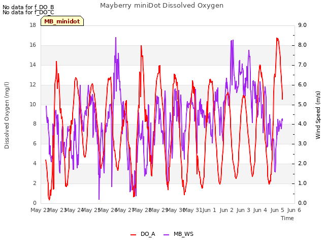 plot of Mayberry miniDot Dissolved Oxygen