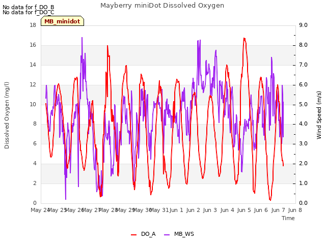 plot of Mayberry miniDot Dissolved Oxygen