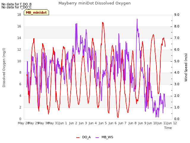 plot of Mayberry miniDot Dissolved Oxygen