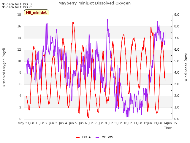 plot of Mayberry miniDot Dissolved Oxygen