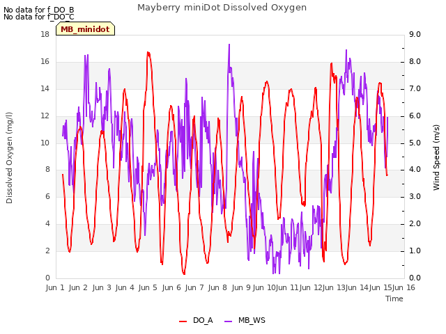 plot of Mayberry miniDot Dissolved Oxygen