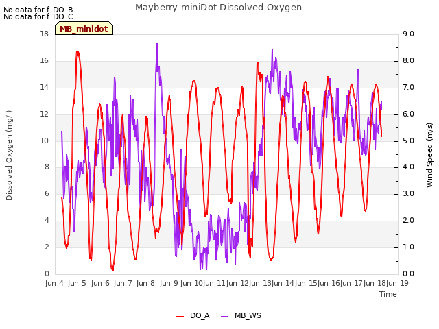 plot of Mayberry miniDot Dissolved Oxygen