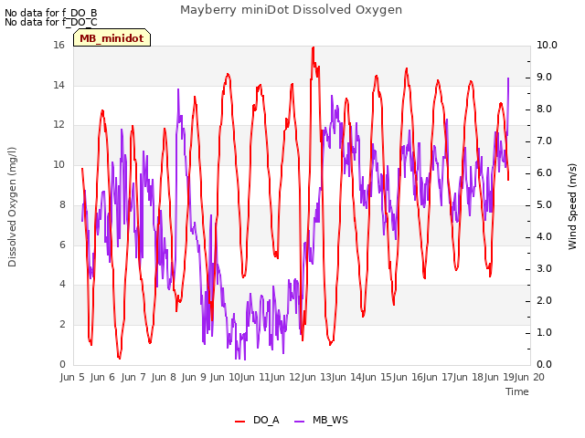 plot of Mayberry miniDot Dissolved Oxygen