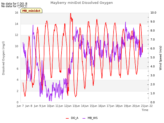 plot of Mayberry miniDot Dissolved Oxygen