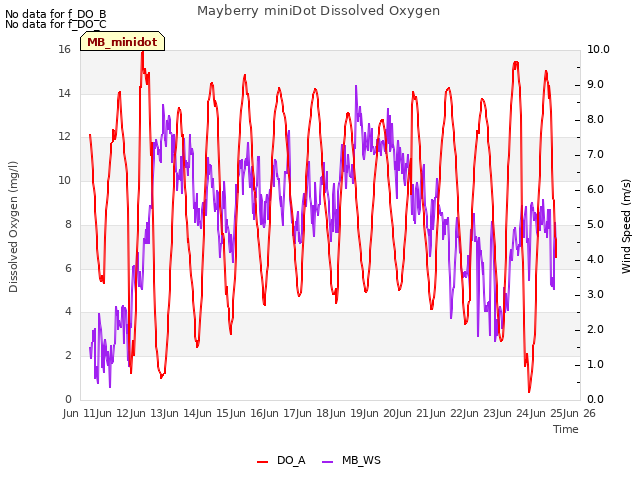 plot of Mayberry miniDot Dissolved Oxygen