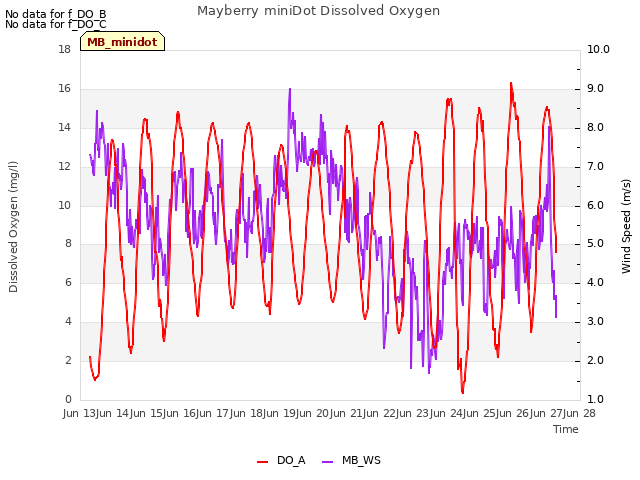 plot of Mayberry miniDot Dissolved Oxygen