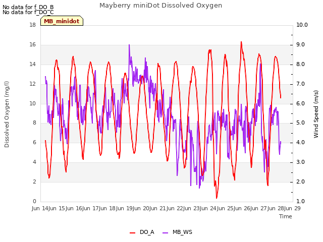 plot of Mayberry miniDot Dissolved Oxygen