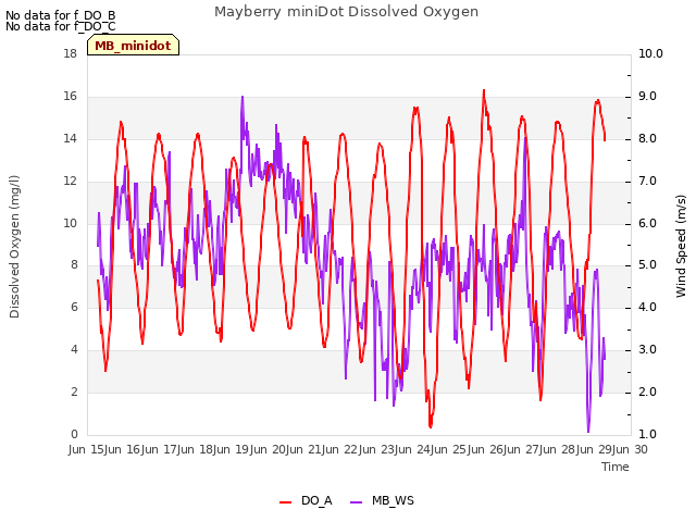 plot of Mayberry miniDot Dissolved Oxygen