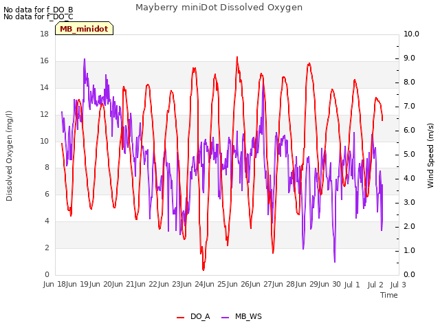 plot of Mayberry miniDot Dissolved Oxygen