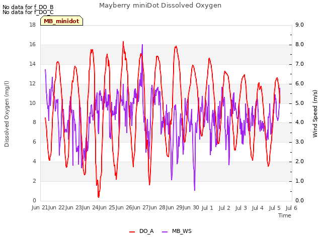 plot of Mayberry miniDot Dissolved Oxygen