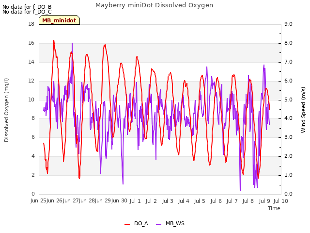 plot of Mayberry miniDot Dissolved Oxygen