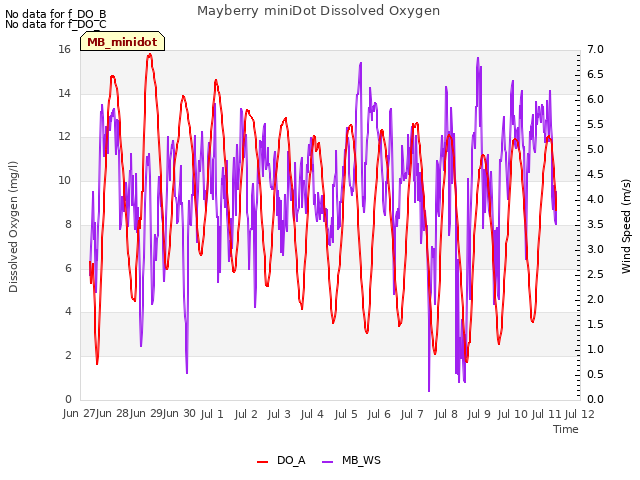 plot of Mayberry miniDot Dissolved Oxygen