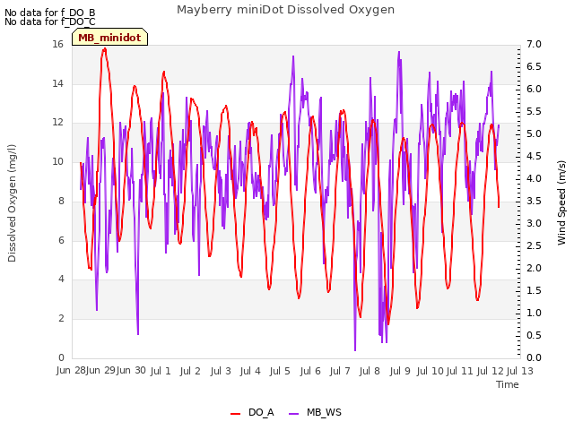 plot of Mayberry miniDot Dissolved Oxygen