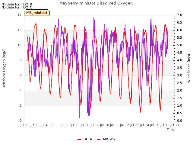 plot of Mayberry miniDot Dissolved Oxygen